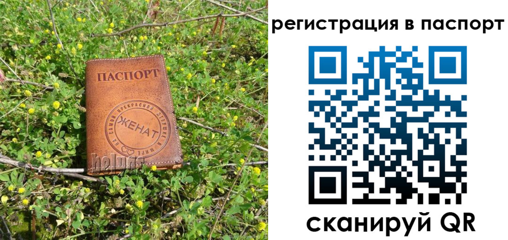 прописка для кредита в Трёхгорном
